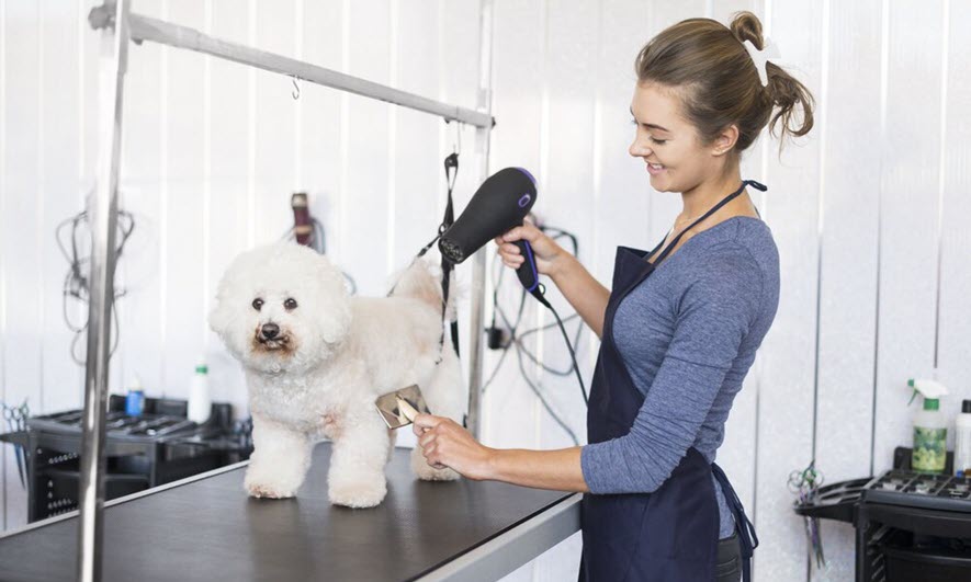 Need Help With Your Grooming? Here Are Personal Grooming Services Available For You